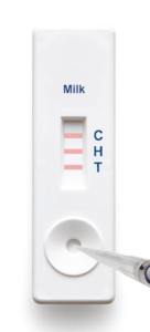 Test paskowy 3M™ na białko alergenne – pełne mleko krowie